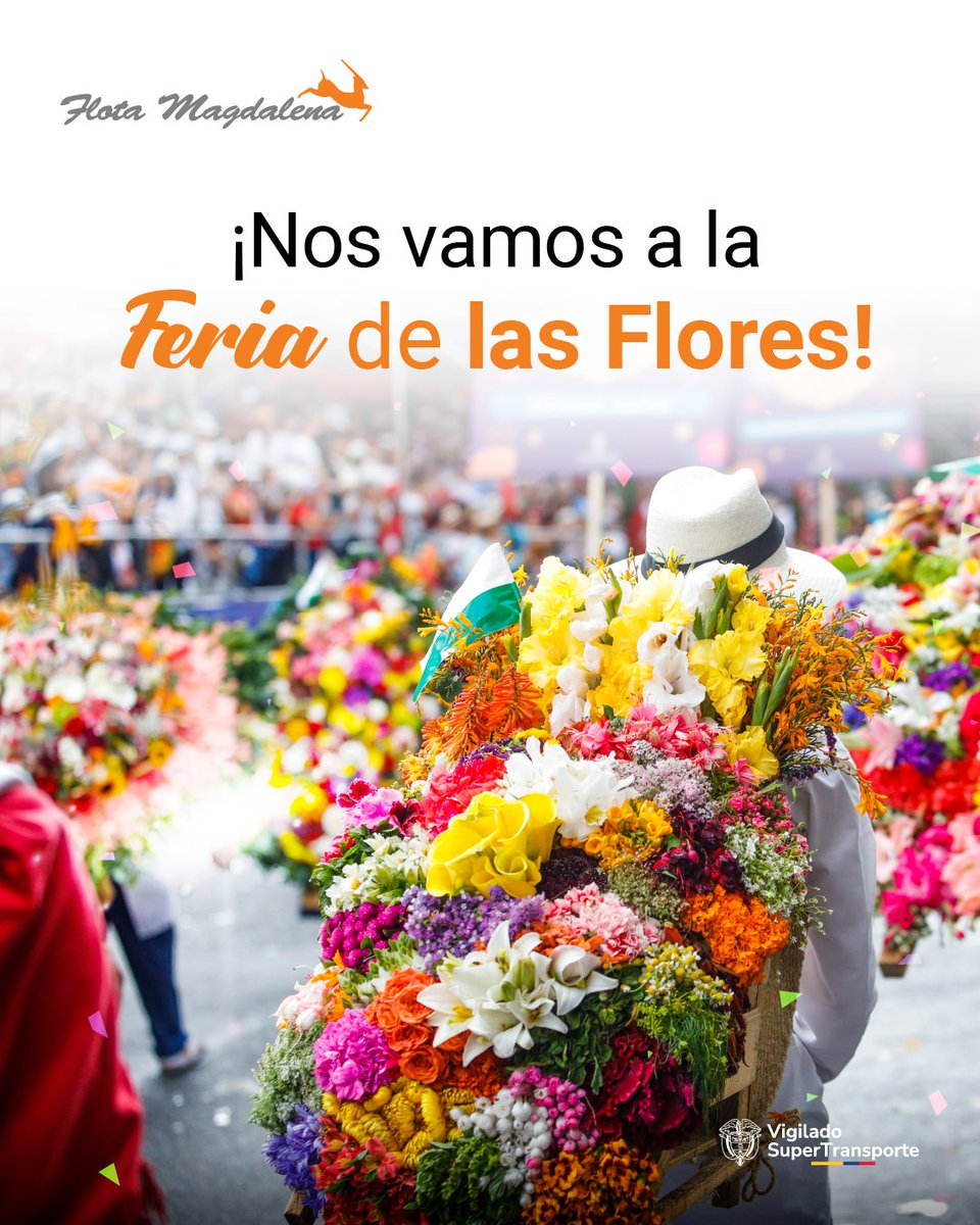Colores, cultura y tradición te esperan en Medellín con la Feria de las Flores.
Disfruta de los desfiles, conciertos, silletas y alegría paisa.
¡Compra tus tiquetes en línea y prepárate para vivir la magia de esta celebración!
#FeriaDeLasFlores #ViajaConFlotaMagdalena