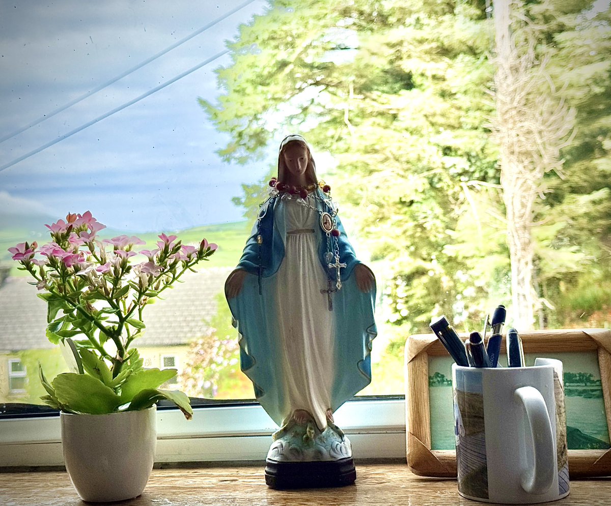 Eamon_Timmins's tweet image. A window sill in #WestCork #MizenHead