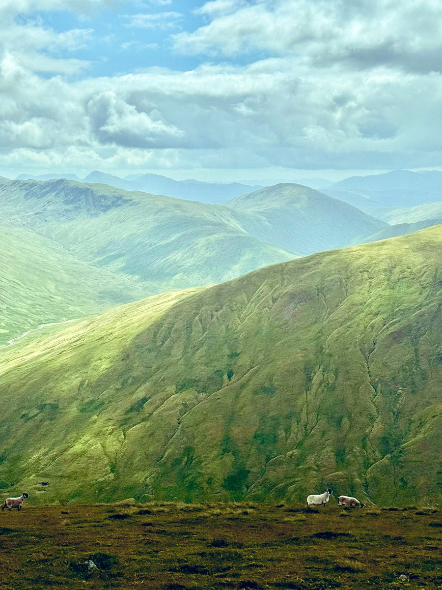 Ilona Turnbull tweet media