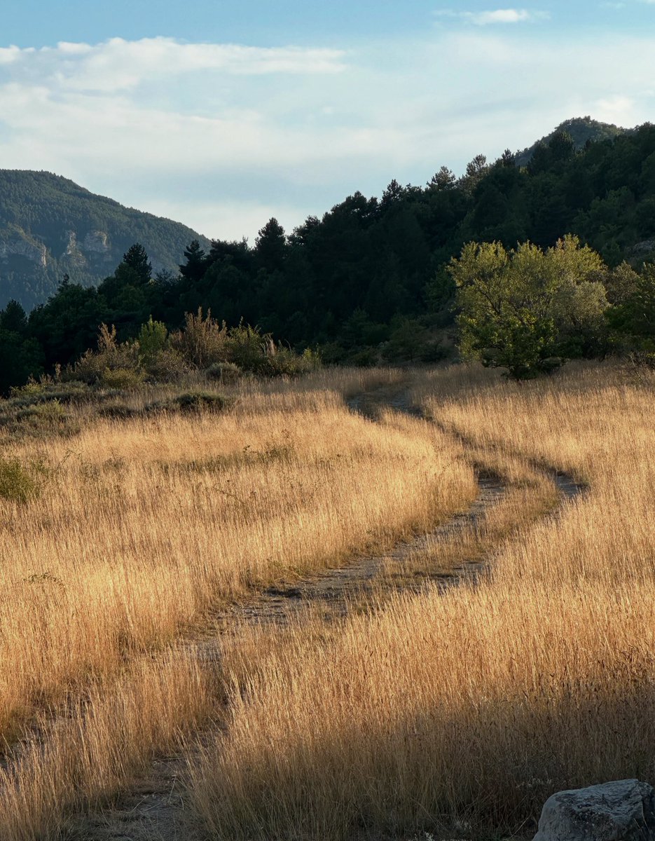 Se perdre en été.
#france #summer