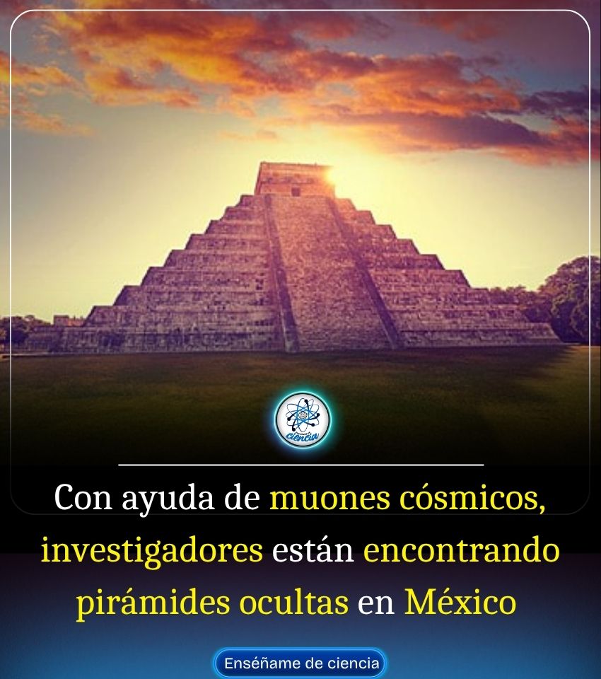 EnsedeCiencia's tweet image. 