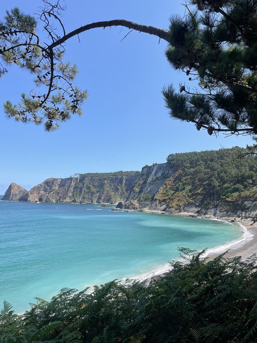 Alex23Gayo's tweet photo. Iguálamelo ☀️🏝️⛰️ @TurismoAsturias https://t.co/394rw1SKGt
