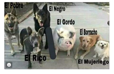 _Marcosantoss's tweet image. Mis cuates en #Xtwitter ☝️😌