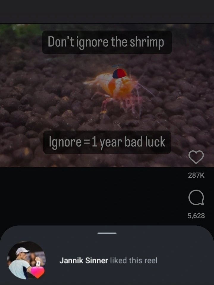 kobzford's tweet image. He's so precious 🥹