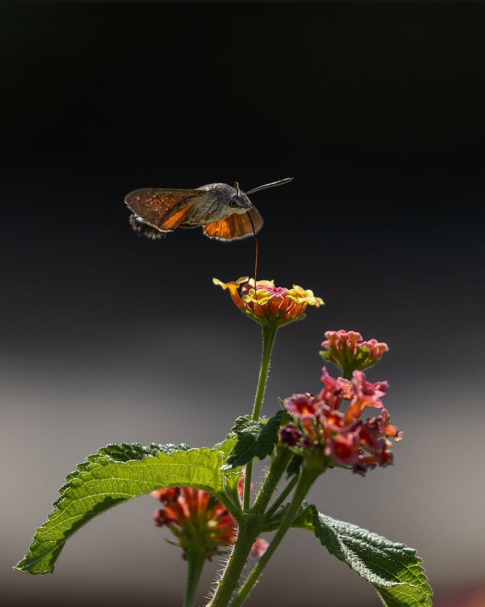 <a href="/AnaMemi29/">Any Marea Azul 💙💙💙🌊🌊🌊</a> <a href="/cutilla55/">m c</a> <a href="/Maria69905985/">Maria🥀🌻🌊💙👗</a> <a href="/Iria_Celta/">Iria🌸</a> <a href="/KaladanBCN/">💦🌊💙⚖️💦🌊💙⚖️💦🌊💙⚖️</a> <a href="/arancha2458/">Arancha</a> <a href="/campoy64160/">caballa 🌊💙💦</a> <a href="/Justicia006/">Justicia</a> <a href="/Lanzar25/">Lanza</a> <a href="/sonajitaplatea/">sonajita</a> <a href="/2815_Estherly/">EsThe👠</a> <a href="/elsa09164082/">elsa</a> <a href="/NT83631763/">N. T</a> <a href="/macasaga2/">M.Carmen 💛🤗🍀</a> <a href="/macasaga1/">MªCarmen 🫂⚖️🥰</a> <a href="/America6006/">America</a> <a href="/mychurry56699/">@MyChur👠y</a> <a href="/Girasol2031449/">Girasol</a> <a href="/AsomadaAlEspejo/">Espejo Azul</a> <a href="/tuneadora432/">Santa Paciencia</a> <a href="/Mariska__6/">Mariska 😎🤍🍀</a> <a href="/MujerOasis/">Oasis</a> <a href="/Gloria26326305/">GLORIA 💙</a> <a href="/Mari777Bel/">MARIBEL 🦋🦋☘️🦋🦋</a> <a href="/Marimar66842849/">Marimar</a> <a href="/1528_elviri/">Elv I🎗️a</a> <a href="/Azucena412130/">Azucena</a> <a href="/slona6216/">Slona</a> <a href="/Objetiva24/">Objetiva</a> <a href="/Rogelia50318250/">Rogelia</a> <a href="/FuerzaMareaAzul/">LaMareaNoSeRinde</a> <a href="/mmloopez/">Maribel Márquez López</a> <a href="/TalVez57/">Siempre</a> <a href="/Azul_MAR0050/">A z U l M a R 💫⭐️💫</a> <a href="/JulietaSer66074/">Julieta Serrano</a> <a href="/AlexandraEsAzul/">Alexandra</a> <a href="/DylaneAzul/">Dylane</a> <a href="/Manolito0003/">Manolito</a> <a href="/PaulaOA03/">Paula</a> <a href="/Luisa43833694/">EN💙CONTRA💦DE💙LAS💦INJUSTICIAS</a> <a href="/Lirio74056/">Lirio</a> <a href="/Hortensia380668/">Hortensia</a> #YoMeRebelo3A 💦   🌊
#YoMeRebelo4A 💙  💙
𝘈𝘲𝘶í 𝘴𝘪𝘨𝘰 𝘺 𝘴𝘦𝘨𝘶𝘪𝘳é 𝘩𝘢𝘴𝘵𝘢 𝘦𝘭 𝘧𝘪𝘯𝘢𝘭, 𝘱𝘰𝘳 𝘭𝘢 𝘮𝘪𝘴𝘮𝘢 𝘤𝘢𝘶𝘴𝘢 𝘺 𝘢𝘱𝘰𝘺𝘰 𝘲𝘶𝘦 𝘪𝘯𝘪𝘤𝘪é. 𝘚𝘪𝘯 𝘣𝘢𝘯𝘥𝘢𝘻𝘰𝘴, 𝘰𝘥𝘪𝘰𝘴, 𝘷𝘦𝘯𝘨𝘢𝘯𝘻𝘢𝘴....