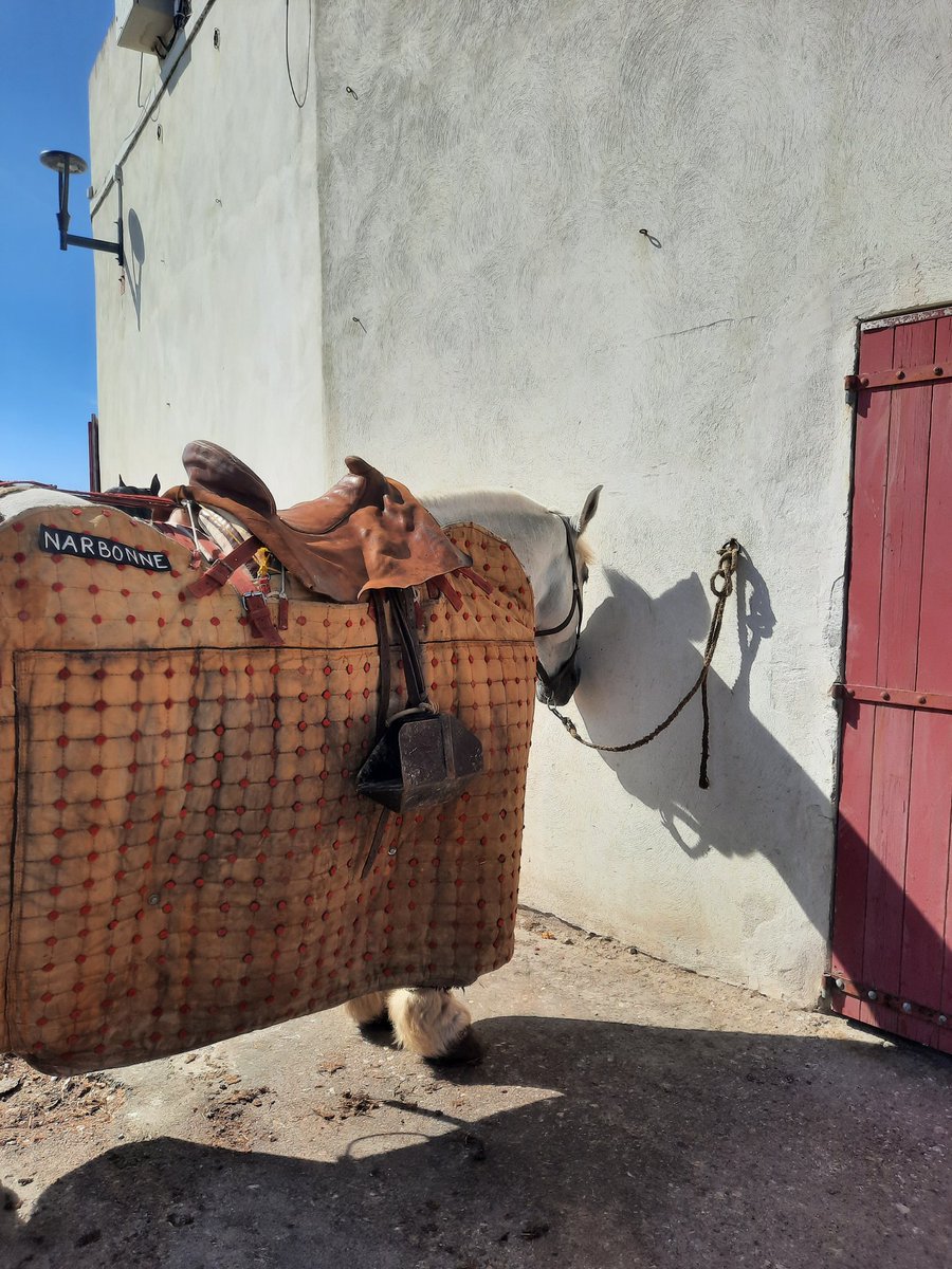 😱 6 TAUREAUX  ONT ENCORE ETE EXECUTES AUX STES MARIES DE LA MER.LES CHEVAUX  QUI SORTAIENT DES ARENES NE REAGISSAIENT PLUS À  UNE CARESSE...LEURS YEUX ETAIENT ETEINTS.. PITIE..QUE CELA CESSE!
<a href="/HenryJeanServat/">Henry-Jean Servat</a>
<a href="/CaronAymericoff/">Aymeric Caron</a> 
<a href="/BeziersColbac/">COLBAC Anti Corrida Béziers</a> 
<a href="/CRAC_Europe/">CRAC Europe</a> 
<a href="/_EvaSas/">Eva SAS</a>