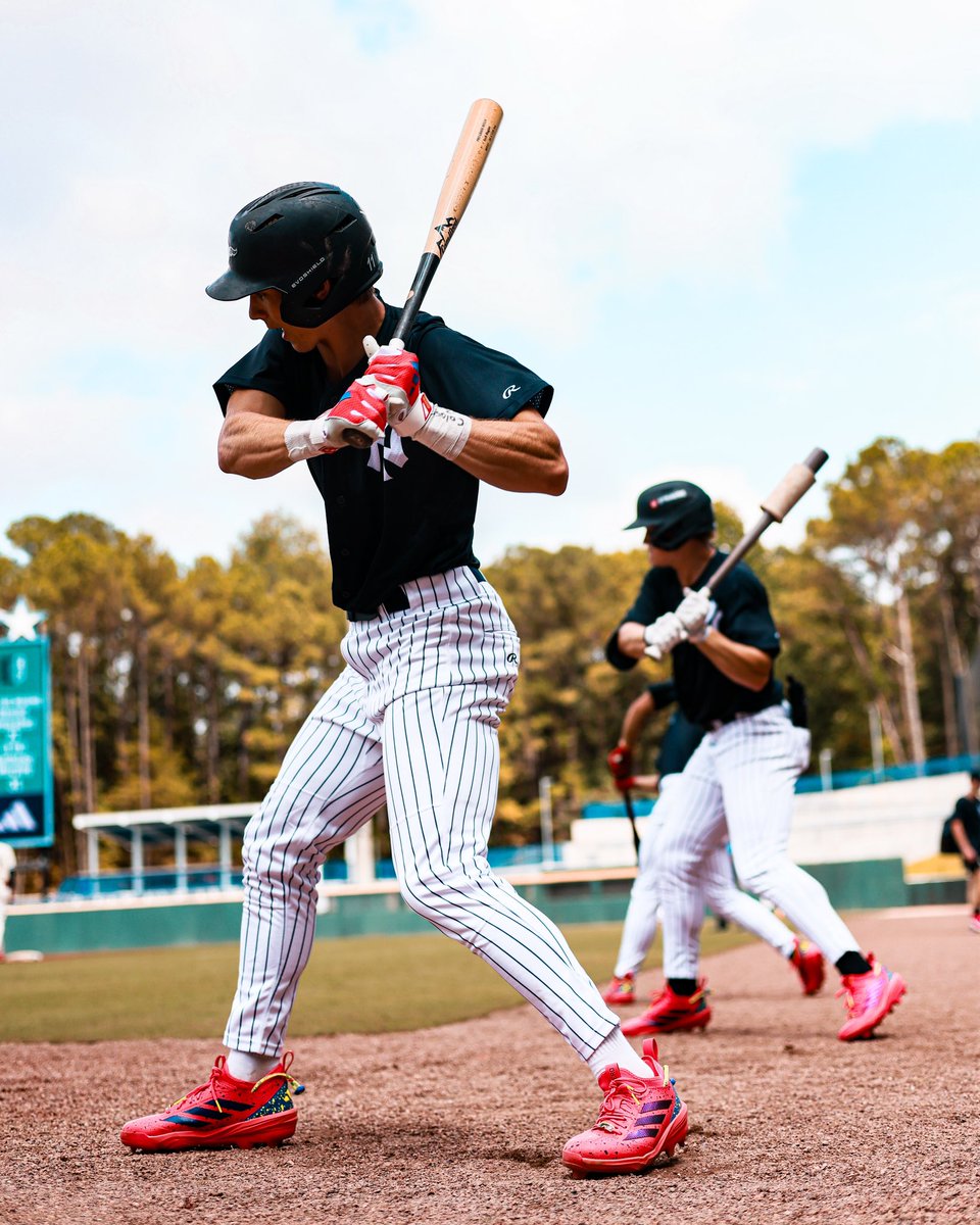 CamWood Bats tweet media