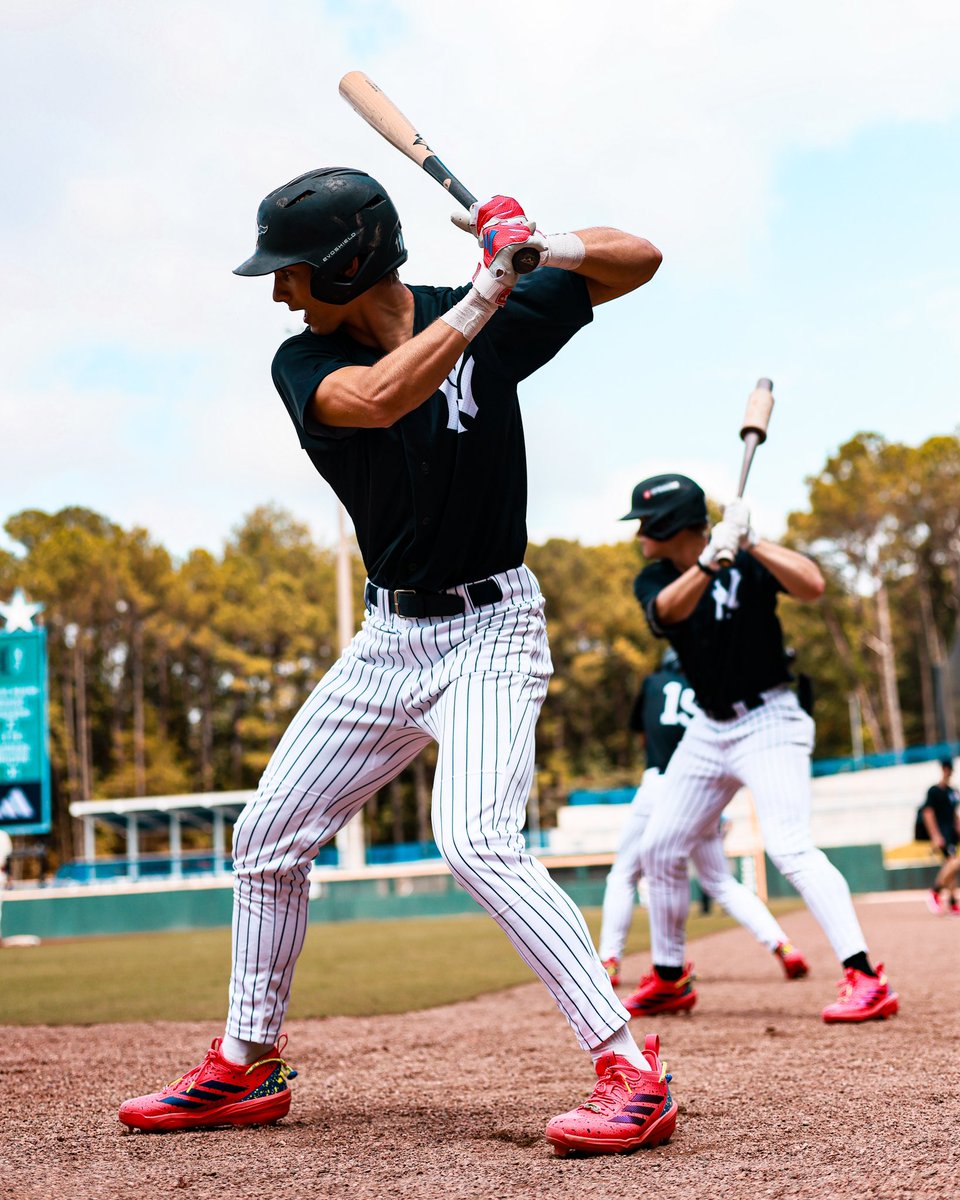 CamWood Bats tweet media