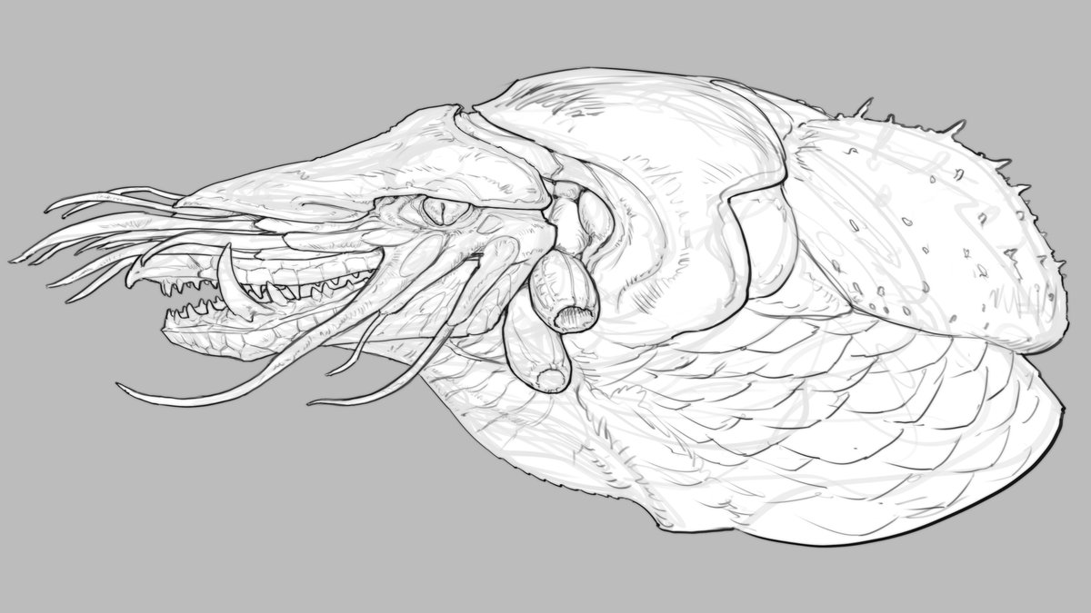 Corey Rivera tweet media