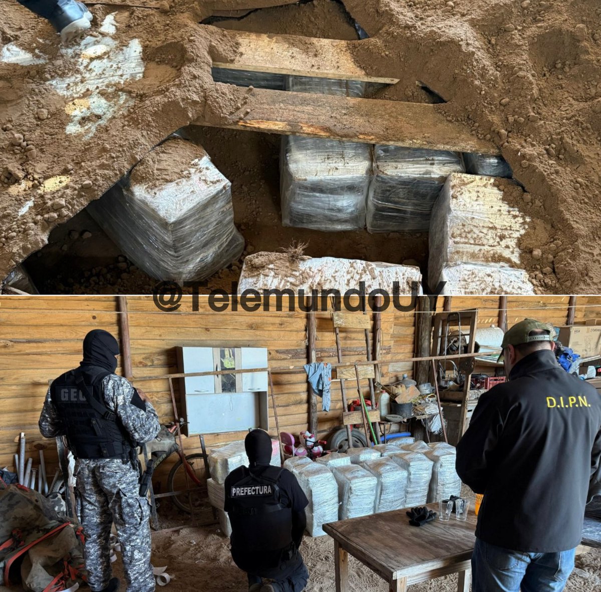 #AHORA Así estaba escondida la cocaína incautada en una chacra de Punta Espinillo.

La fiscal de Estupefacientes, Angelita Romano, busca determinar si detrás de la droga está el narcotraficante Sebastián Marset.