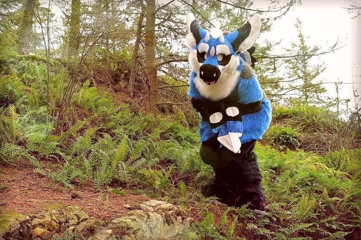 Happy #SkyproSunday! Glitch wants to show you these tiny ferns she found! 💙

#furry #furries #fursuit #fursuits <a href="/DutchADs/">🌻Dutch Angel Dragons🌻</a> <a href="/Skyprocostumes/">Skyprocostumes🌻</a>