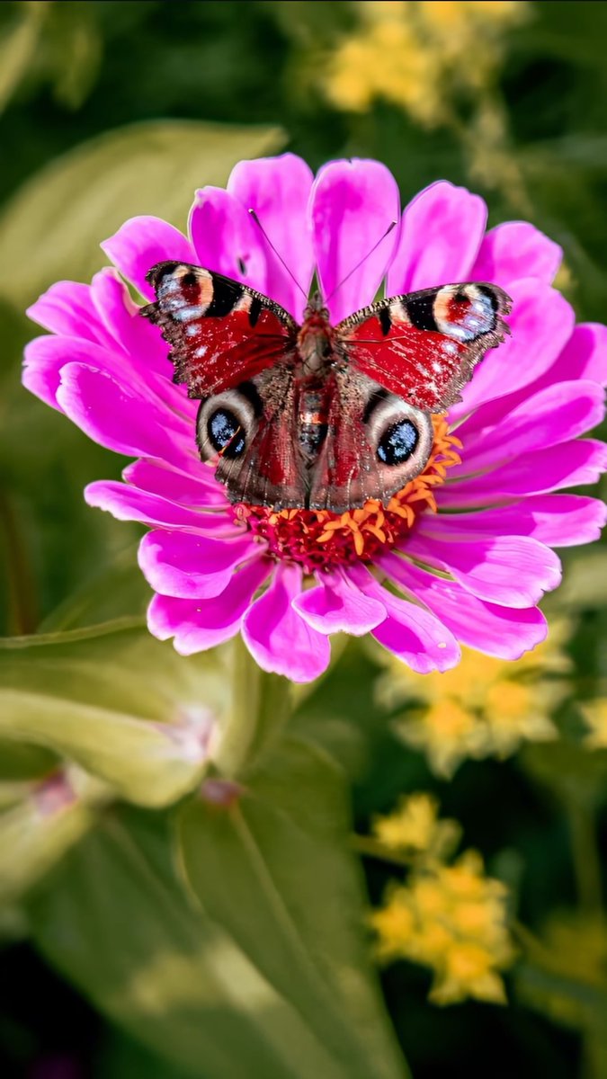 <a href="/PetroMareaAzul/">Petro Marea Azul 🦋🦋🦋🦋</a> <a href="/AnaMemi29/">Any Marea Azul 💙💙💙🌊🌊🌊</a> <a href="/Iria_Celta/">Iria🌸</a> <a href="/tuneadora432/">Santa Paciencia</a> <a href="/sonajitaplatea/">sonajita</a> <a href="/campoy64160/">caballa 🌊💙💦</a> <a href="/KaladanBCN/">💦🌊💙⚖️💦🌊💙⚖️💦🌊💙⚖️</a> <a href="/macasaga2/">M.Carmen 💛🤗🍀</a> <a href="/Justicia006/">Justicia</a> <a href="/Lanzar25/">Lanza</a> <a href="/2815_Estherly/">EsThe👠</a> <a href="/cutilla55/">m c</a> <a href="/elsa09164082/">elsa</a> <a href="/NT83631763/">N. T</a> <a href="/macasaga1/">MªCarmen 🫂⚖️🥰</a> <a href="/America6006/">America</a> <a href="/mychurry56699/">@MyChur👠y</a> <a href="/Girasol2031449/">Girasol</a> <a href="/AsomadaAlEspejo/">Espejo Azul</a> <a href="/Mariska__6/">Mariska 😎🤍🍀</a> <a href="/MujerOasis/">Oasis</a> <a href="/Gloria26326305/">GLORIA 💙</a> <a href="/Mari777Bel/">MARIBEL 🦋🦋☘️🦋🦋</a> <a href="/Marimar66842849/">Marimar</a> <a href="/1528_elviri/">Elv I🎗️a</a> <a href="/Azucena412130/">Azucena</a> <a href="/slona6216/">Slona</a> <a href="/Objetiva24/">Objetiva</a> <a href="/Rogelia50318250/">Rogelia</a> <a href="/FuerzaMareaAzul/">LaMareaNoSeRinde</a> <a href="/mmloopez/">Maribel Márquez López</a> <a href="/TalVez57/">Siempre</a> <a href="/Azul_MAR0050/">A z U l M a R 💫⭐️💫</a> <a href="/JulietaSer66074/">Julieta Serrano</a> <a href="/AlexandraEsAzul/">Alexandra</a> <a href="/DylaneAzul/">Dylane</a> <a href="/Manolito0003/">Manolito</a> <a href="/PaulaOA03/">Paula</a> <a href="/Luisa43833694/">EN💙CONTRA💦DE💙LAS💦INJUSTICIAS</a> <a href="/Lirio74056/">Lirio</a> <a href="/Hortensia380668/">Hortensia</a> #YoMeRebelo3A 💦   🌊
#YoMeRebelo4A 💙  💙
𝘈𝘲𝘶í 𝘴𝘪𝘨𝘰 𝘺 𝘴𝘦𝘨𝘶𝘪𝘳é 𝘩𝘢𝘴𝘵𝘢 𝘦𝘭 𝘧𝘪𝘯𝘢𝘭, 𝘱𝘰𝘳 𝘭𝘢 𝘮𝘪𝘴𝘮𝘢 𝘤𝘢𝘶𝘴𝘢 𝘺 𝘢𝘱𝘰𝘺𝘰 𝘲𝘶𝘦 𝘪𝘯𝘪𝘤𝘪é. 𝘚𝘪𝘯 𝘣𝘢𝘯𝘥𝘢𝘻𝘰𝘴, 𝘰𝘥𝘪𝘰𝘴, 𝘷𝘦𝘯𝘨𝘢𝘯𝘻𝘢𝘴....