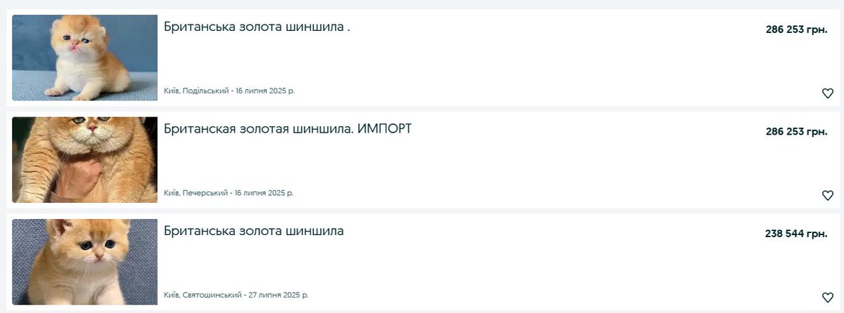 Це — бебі-фейс.
Це — квадратні очі.
Це — вираз, що пробирає до серця.