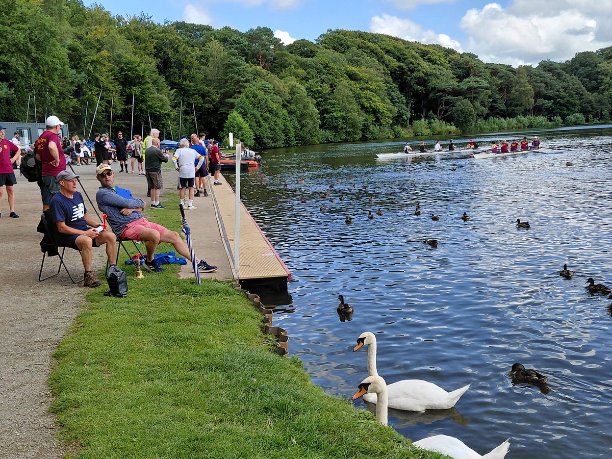 Durham Amateur Rowing Club tweet media