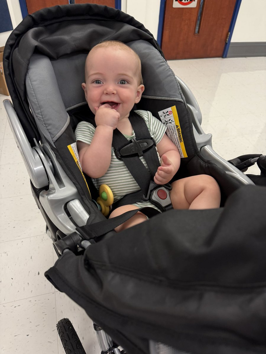 My helper while I inventory books yesterday and today 😊