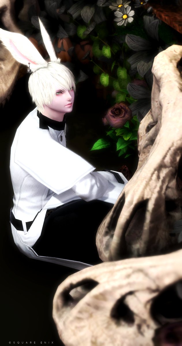 ððð«ðšð° (@b_ffxiv_s) on Twitter photo ãã¯ããð°
ð ¿ #ayst 
#FF14SS #ãã¯ãŠãµ ãã¯ããð°
ð ¿ #ayst 
#FF14SS #ãã¯ãŠãµ