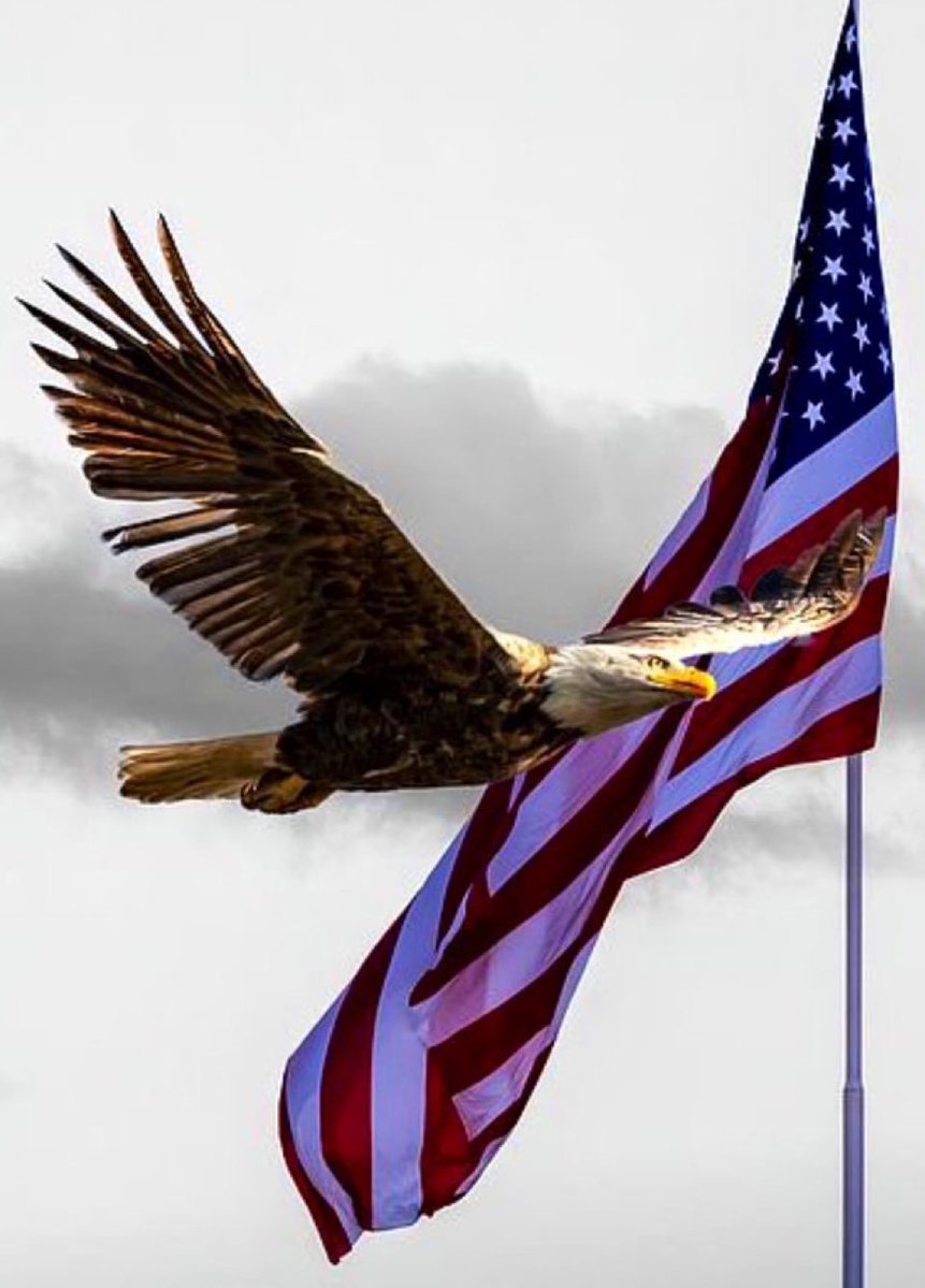reymundo (@raymondmar13702) on Twitter photo <a href="/solar_ric/">Pissed Off American</a> <a href="/FAFOLOLHAHA/">๐ซฆ ๐ฉ๐๐ ๐๐ ๐จ๐๐๐๐๐๐!</a> <a href="/BigBlazeBr4d/">๐บ๐ฒ BigBlazeBr4d๐บ๐ธ</a> <a href="/YouKnoImHer/">HER ๐บ๐ธ ๐ต๐น</a> <a href="/awind4000/">The_Pissed_American</a> <a href="/x4Eileen/">Eileen Bridget๐ธ</a> <a href="/CunneyLavery/">Jennifer NaplesRQ</a> <a href="/gags_MN/">The Hobbit</a> <a href="/jackiejames1004/">Jackie</a> <a href="/misti_jacoby/">Misti Jacoby-Butler</a> <a href="/pink_for_days/">Isabelle</a> <a href="/VERITAS_2U/">VERITAS</a> <a href="/arnie63/">I'm your Huckleberry !!๐บ๐ธ ๐ฎ๐ช ๐ด๓ ง๓ ข๓ ณ๓ ฃ๓ ด๓ ฟ</a> <a href="/JennaLy27590217/">JennaLyn</a> <a href="/JenManzo/">JenEtics</a> <a href="/OzMusicFan/">๐บ๐ธ Carrie ๐๐ง</a> <a href="/rafester27/">Rafester27 ๐บ๐ธ๐บ๐ธ๐บ๐ธ๐บ๐ธ๐บ๐ธ</a> <a href="/CrabtreeKr44717/">Kristin Crabtree</a> <a href="/chef_en_fuego/">Chef En Fuego</a> IFB Sunday <a href="/raymondmar13702/">reymundo</a> <a href="/solar_ric/">Pissed Off American</a> <a href="/FAFOLOLHAHA/">๐ซฆ ๐ฉ๐๐ ๐๐ ๐จ๐๐๐๐๐๐!</a> <a href="/BigBlazeBr4d/">๐บ๐ฒ BigBlazeBr4d๐บ๐ธ</a> <a href="/YouKnoImHer/">HER ๐บ๐ธ ๐ต๐น</a> <a href="/awind4000/">The_Pissed_American</a> <a href="/x4Eileen/">Eileen Bridget๐ธ</a> <a href="/CunneyLavery/">Jennifer NaplesRQ</a> <a href="/gags_MN/">The Hobbit</a> <a href="/jackiejames1004/">Jackie</a> <a href="/misti_jacoby/">Misti Jacoby-Butler</a> <a href="/pink_for_days/">Isabelle</a> <a href="/VERITAS_2U/">VERITAS</a> <a href="/arnie63/">I'm your Huckleberry !!๐บ๐ธ ๐ฎ๐ช ๐ด๓ ง๓ ข๓ ณ๓ ฃ๓ ด๓ ฟ</a> <a href="/JennaLy27590217/">JennaLyn</a> <a href="/JenManzo/">JenEtics</a> <a href="/OzMusicFan/">๐บ๐ธ Carrie ๐๐ง</a> <a href="/rafester27/">Rafester27 ๐บ๐ธ๐บ๐ธ๐บ๐ธ๐บ๐ธ๐บ๐ธ</a> <a href="/CrabtreeKr44717/">Kristin Crabtree</a> <a href="/chef_en_fuego/">Chef En Fuego</a> IFB Sunday <a href="/raymondmar13702/">reymundo</a>