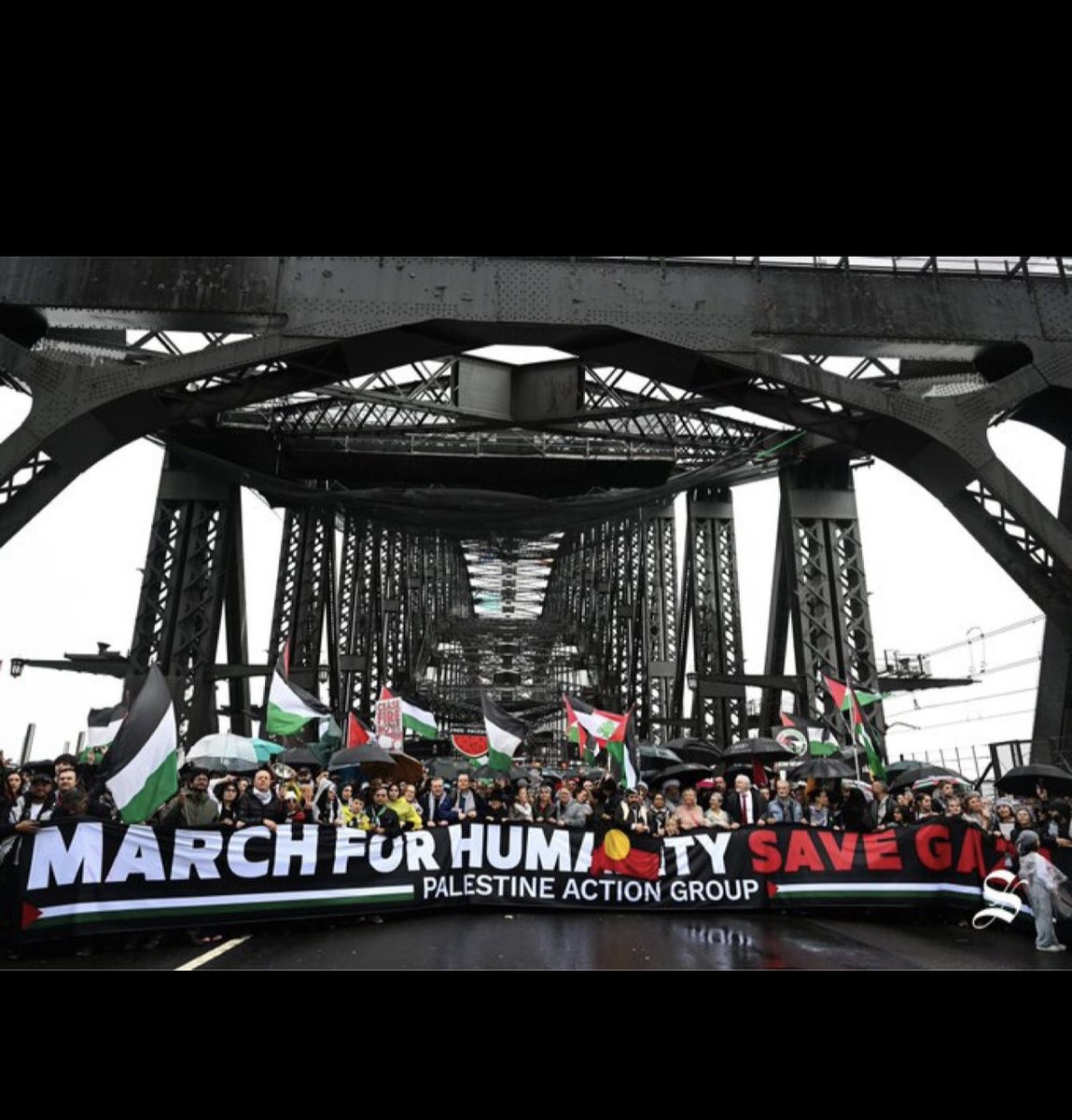 noplaceforsheep's tweet image. SOCIAL COHESION ⁦@AlboMP⁩ 👇👇👇