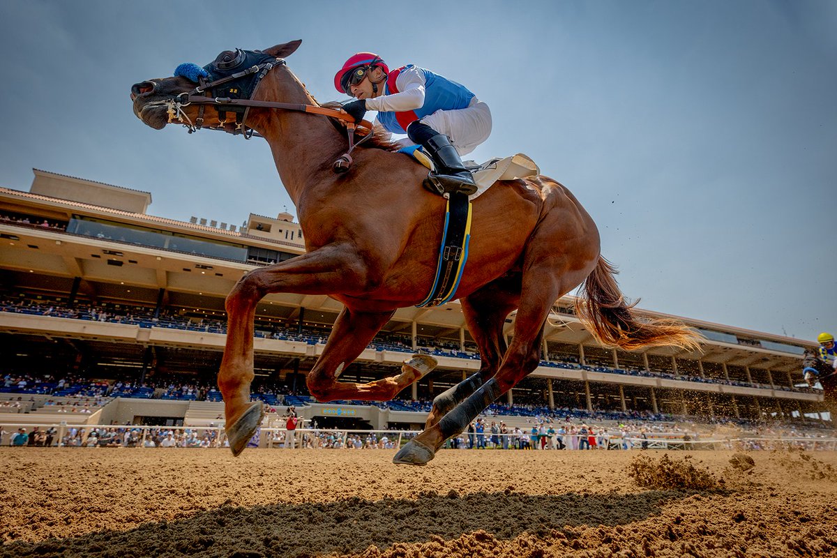 Juan jose hernandez (@JJHernandezS19) / Posts / X