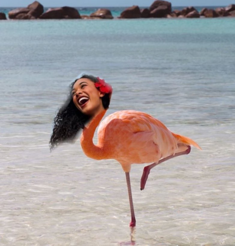 PLL: Bring It Back💫 tweet media