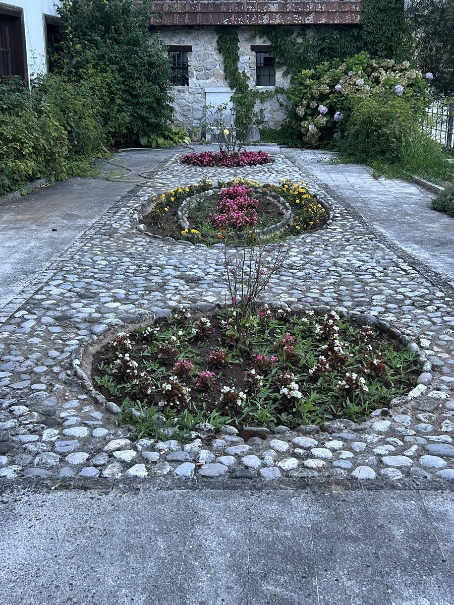 benjamin_idriz's tweet image. 