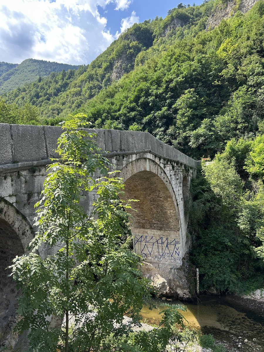 benjamin_idriz's tweet image. 