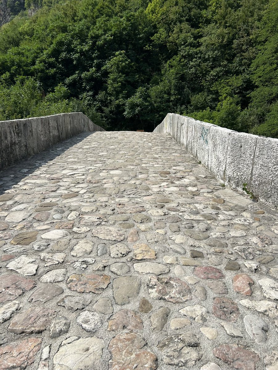 benjamin_idriz's tweet image. 