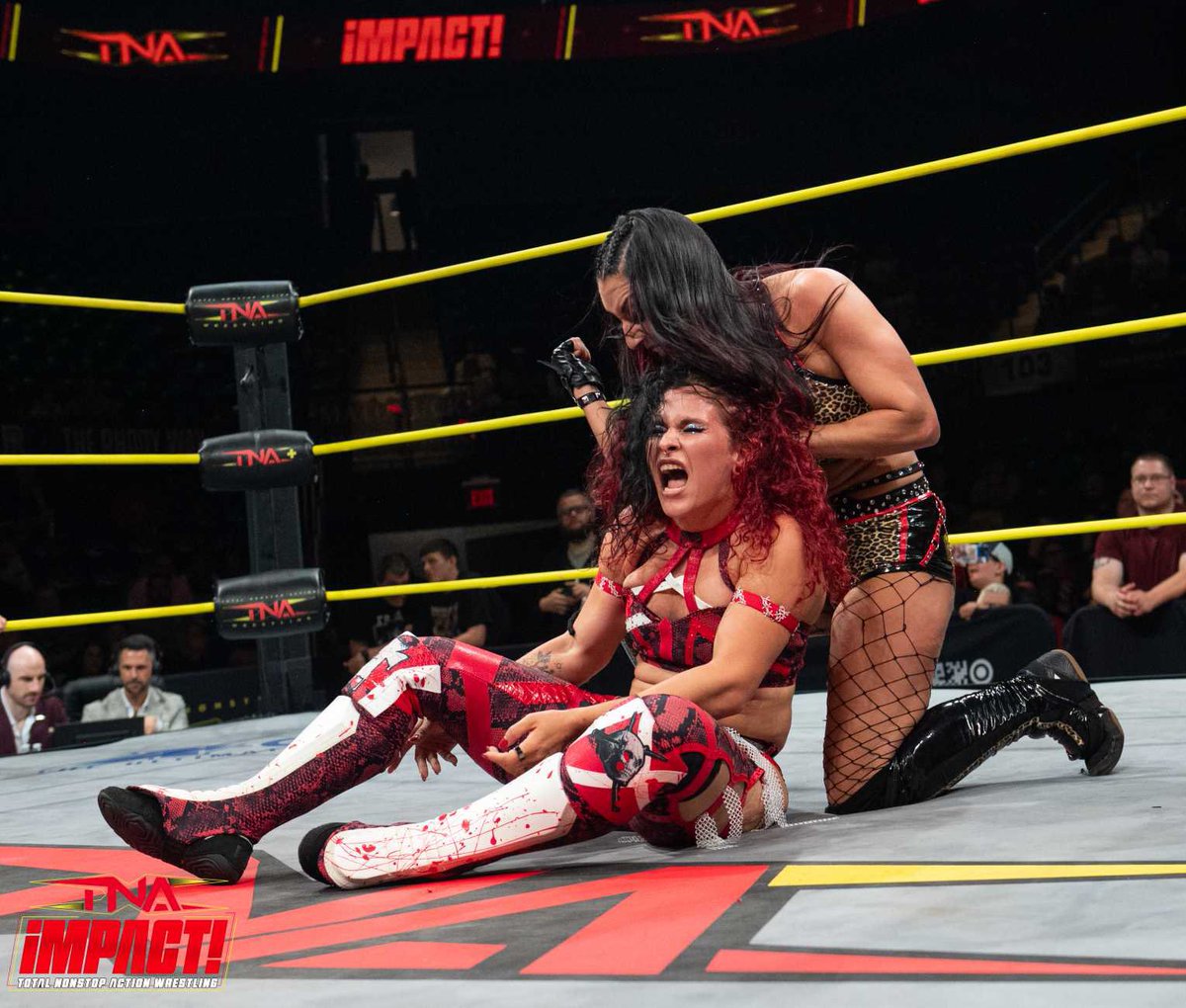 The one at the top. 𝜗ৎ NOT @jacyjaynewwe. tweet media