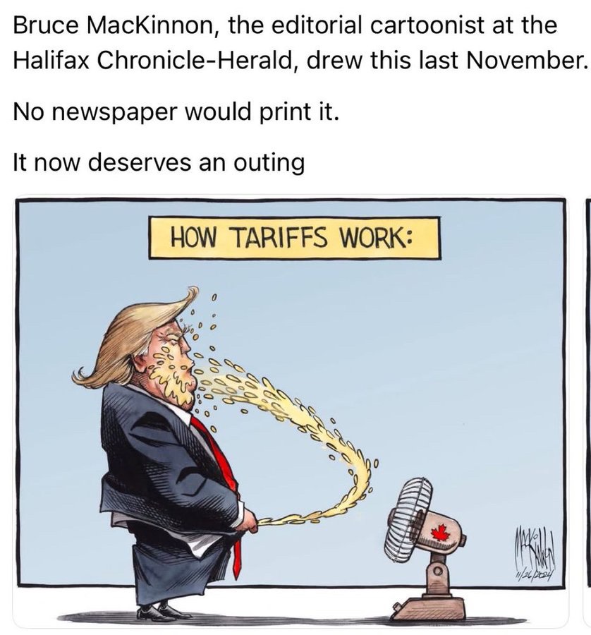 Dear MAGA: