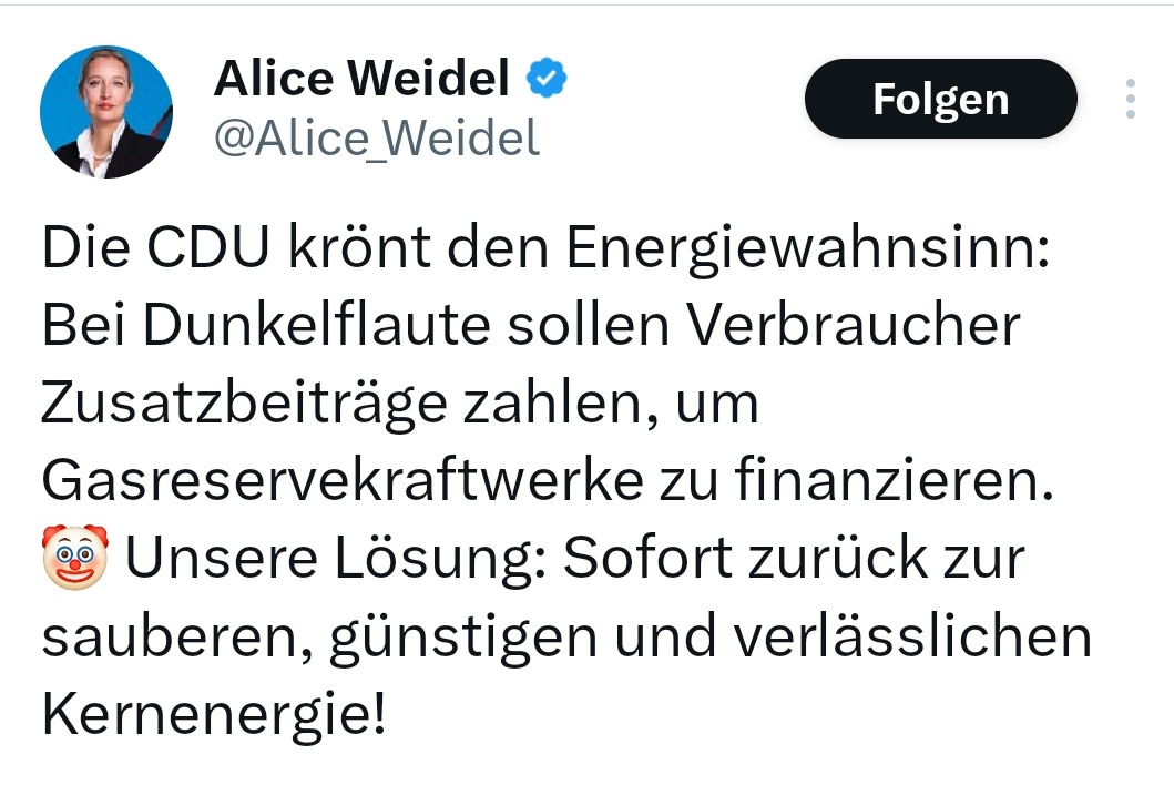 Lisa 🇩🇪🇺🇦🇪🇺🌍🕊 tweet media