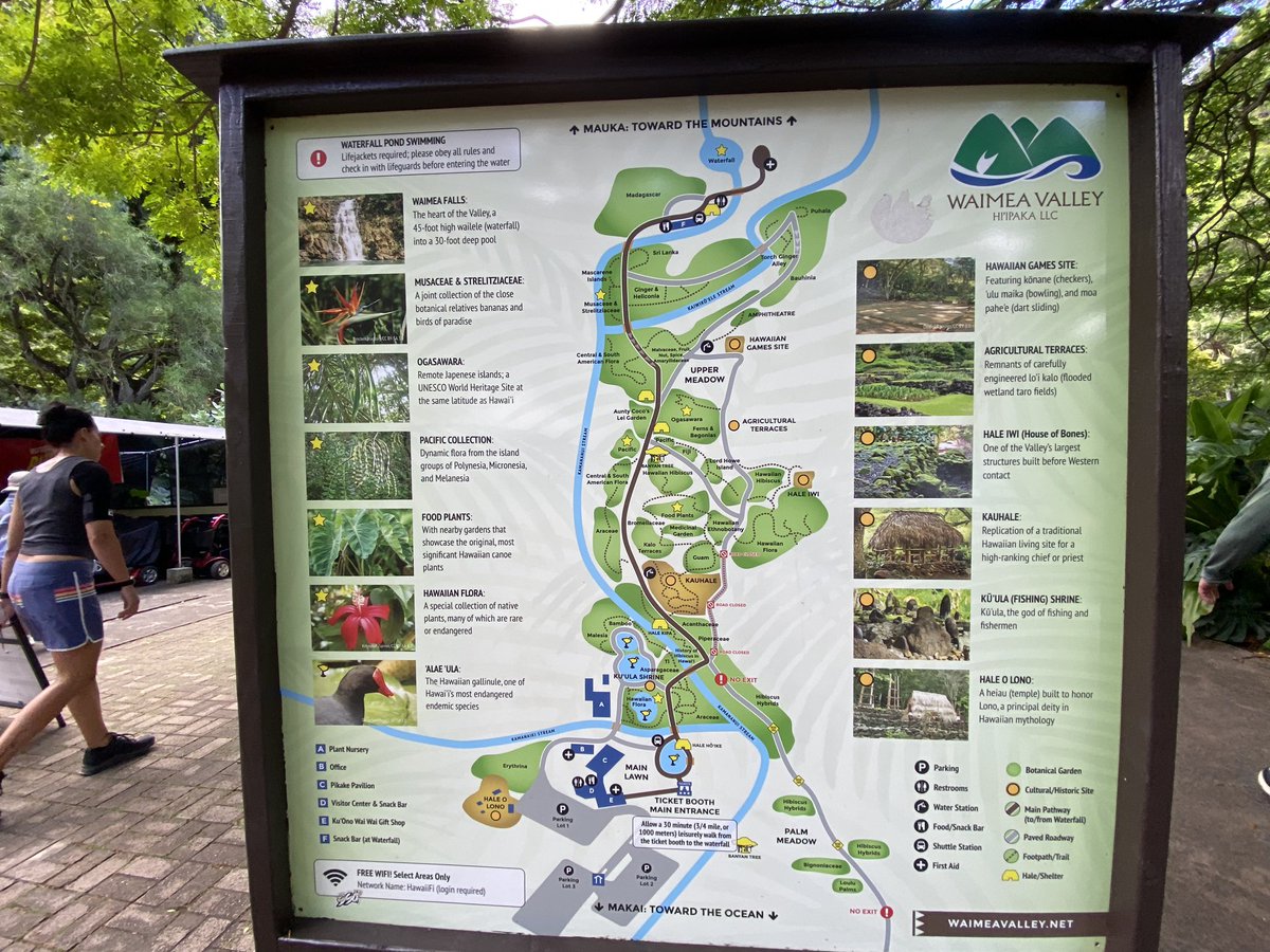 LabToFarm_org's tweet image. 🌺🌿 Yesterday's #APSPlantHealth2025 amazing field trip was a journey through O‘ahu’s lush landscapes &amp;amp; living history!
🌴 From the stunning 5,000+ species at Waimea Valley Botanic Garden to native landscaping at Waiahole Botanicals, a perfect blend of science, culture &amp;amp; beauty.