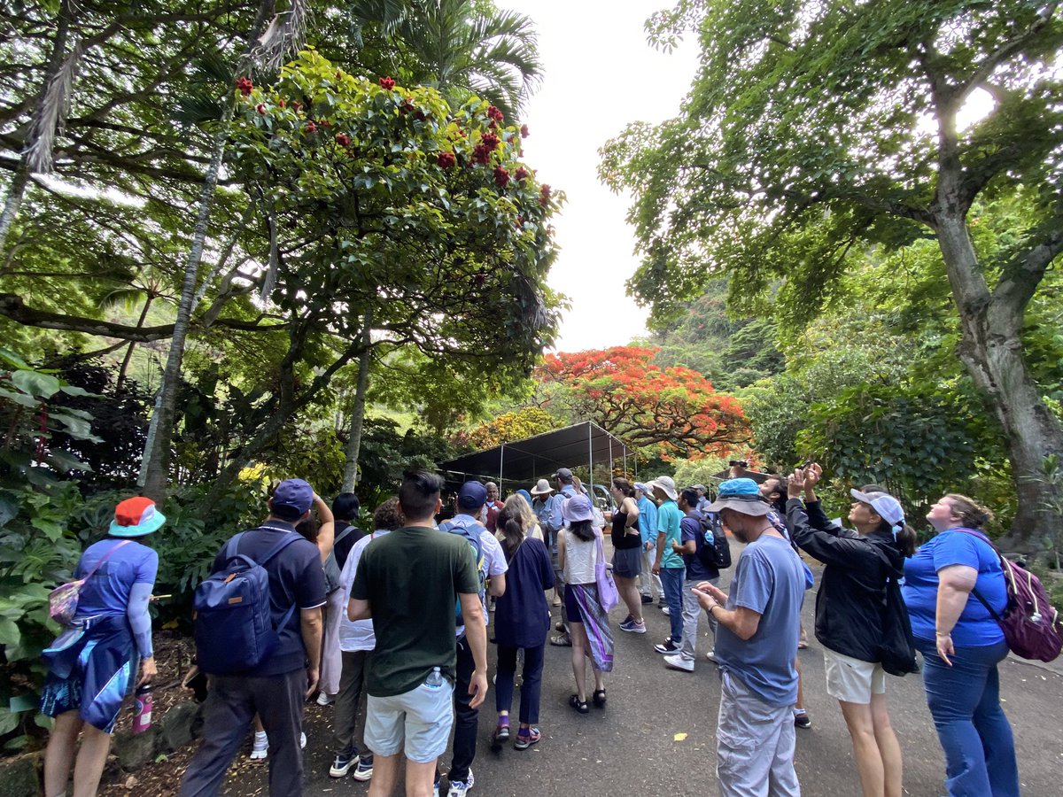 LabToFarm_org's tweet image. 🌺🌿 Yesterday's #APSPlantHealth2025 amazing field trip was a journey through O‘ahu’s lush landscapes &amp;amp; living history!
🌴 From the stunning 5,000+ species at Waimea Valley Botanic Garden to native landscaping at Waiahole Botanicals, a perfect blend of science, culture &amp;amp; beauty.