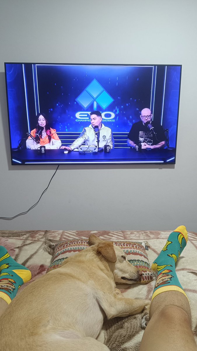 chuchuzera (@chuchuzera01) on Twitter photo Tamo acompanhando aqui o top8 de garou com esses brabos
#warnernaevo
<a href="/Alemeras_/">Alemeras #ffcotw</a> <a href="/carolthequeen_/">CarolTheQueen</a> <a href="/arielsis/">Ariel Combo</a> Tamo acompanhando aqui o top8 de garou com esses brabos
#warnernaevo
<a href="/Alemeras_/">Alemeras #ffcotw</a> <a href="/carolthequeen_/">CarolTheQueen</a> <a href="/arielsis/">Ariel Combo</a>