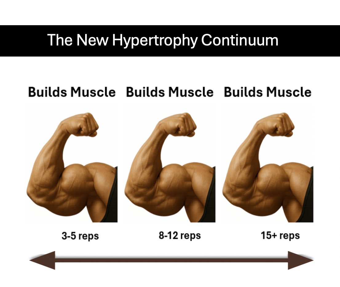 Yet another study showing similar whole muscle hypertrophy when training with heavy vs light loads. The evidence is overwhelming. May be a benefit to varying rep ranges for optimal results; for the gen pop likely doesn't make a meaningful difference 💪
biorxiv.org/content/10.110…