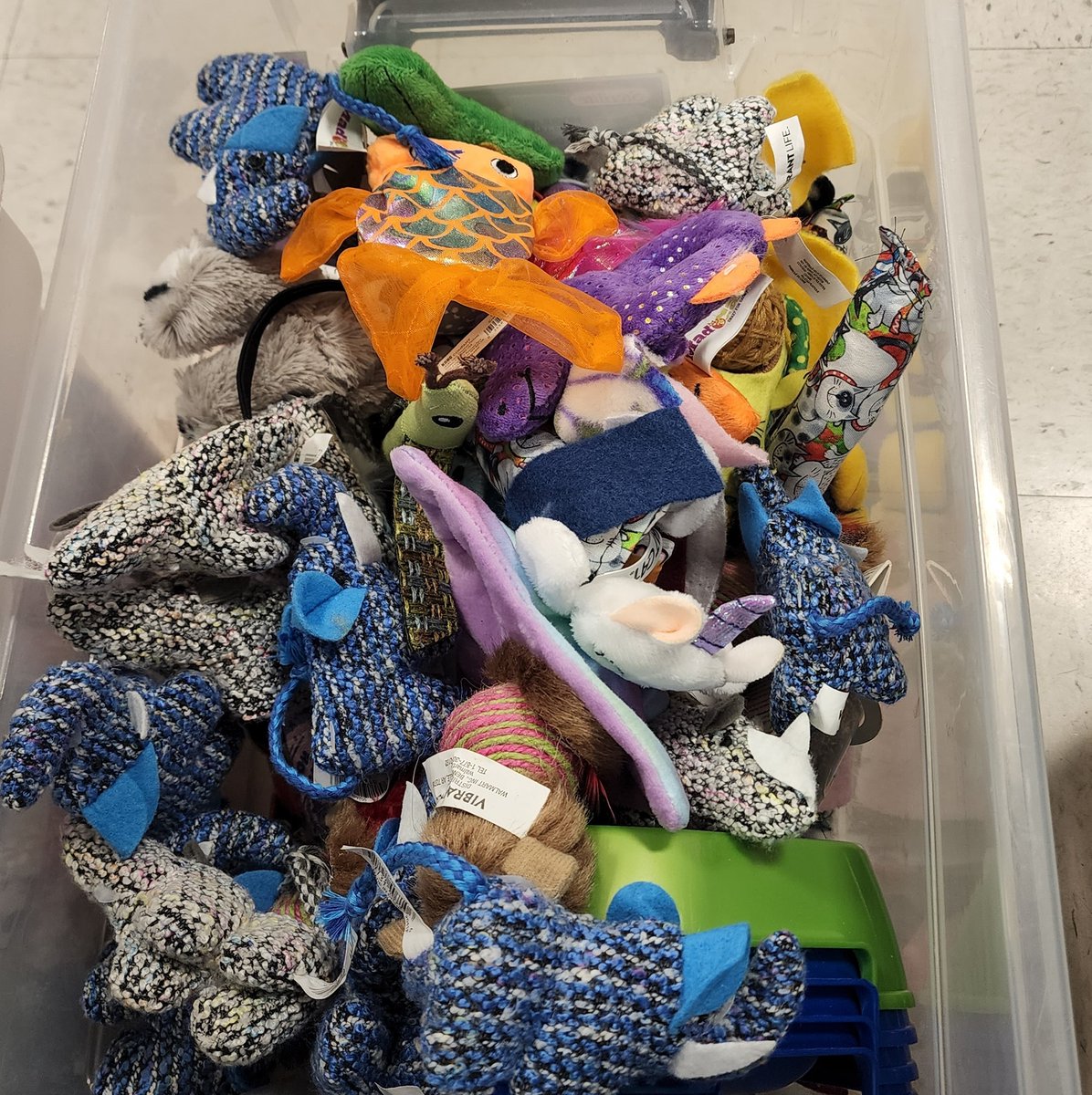 Ask us how you can help send the many #tinybutmighty home with your love if you have furbulous #crochet #knitting or #sewing skills! 

#blanketfairy #toyfairy #volunteer #kittenrescue #puppyrescue #SewingForPets #CraftingForACause  #gratitude