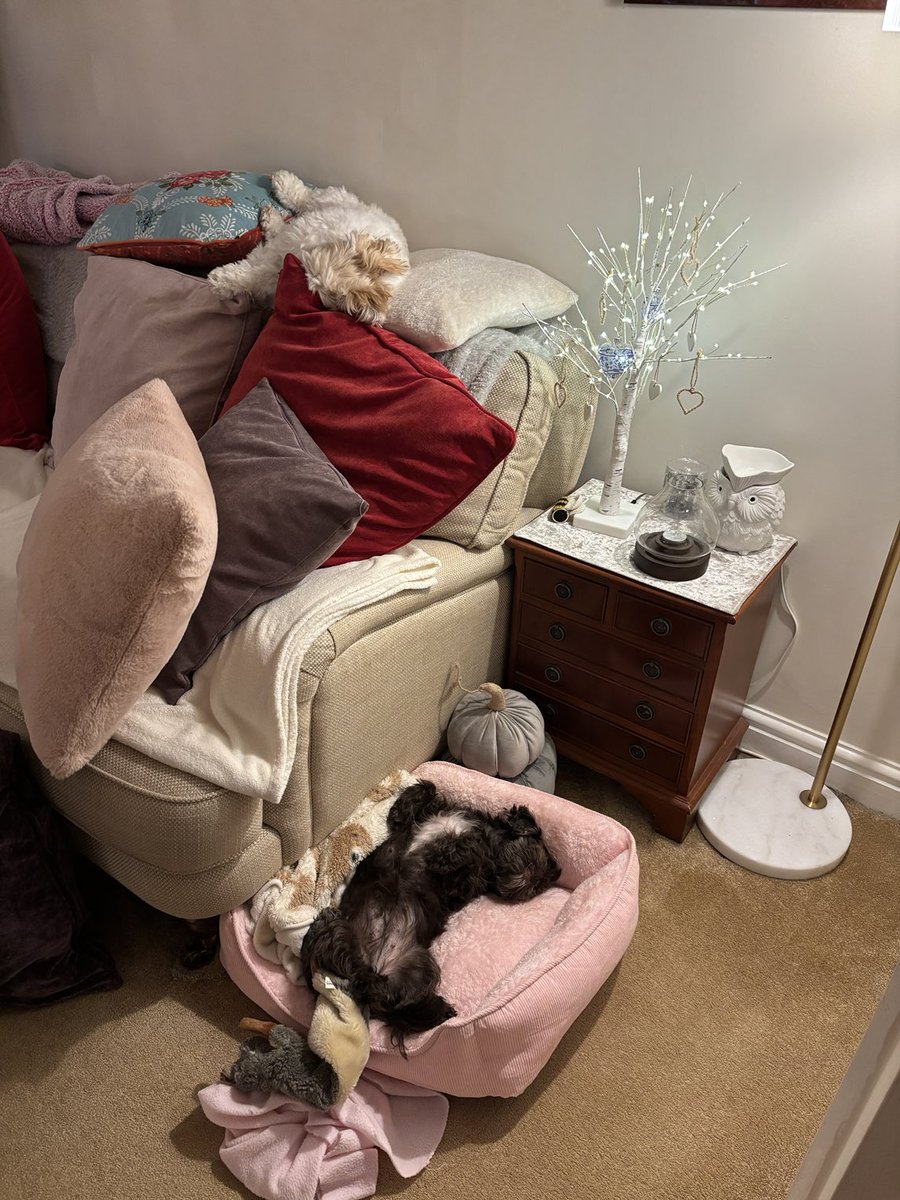This is the end result of a very busy but wonderful week holiday!🤣🤣. Back to the norm tomorrow tho!  Night all, much love 🥰