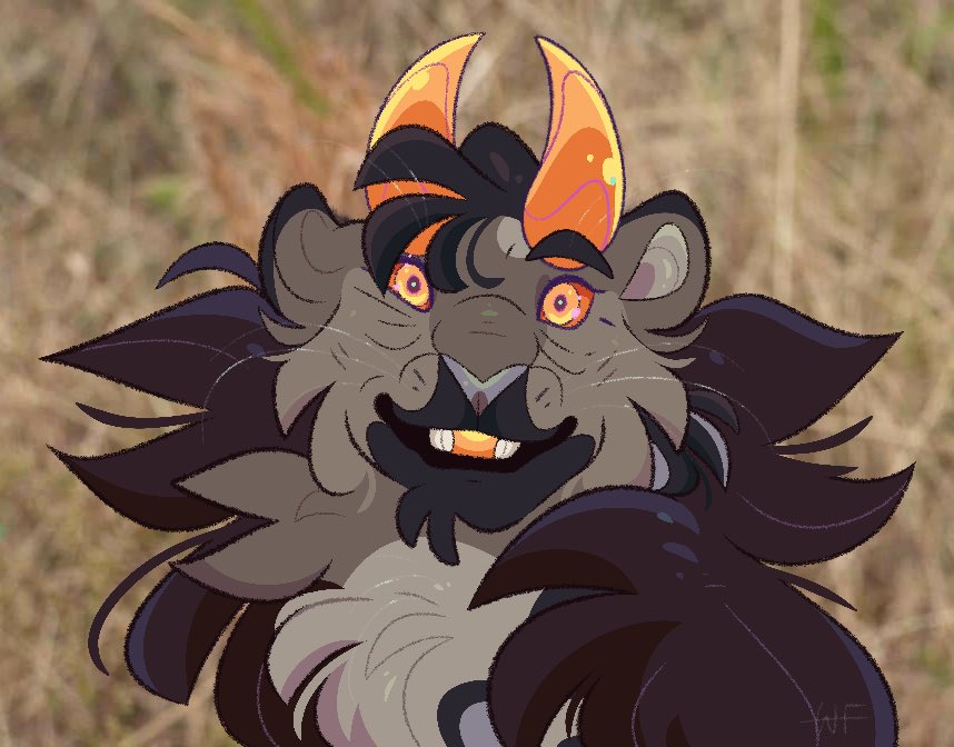 🌸 Wolfie || Dr Strange Lover tweet media