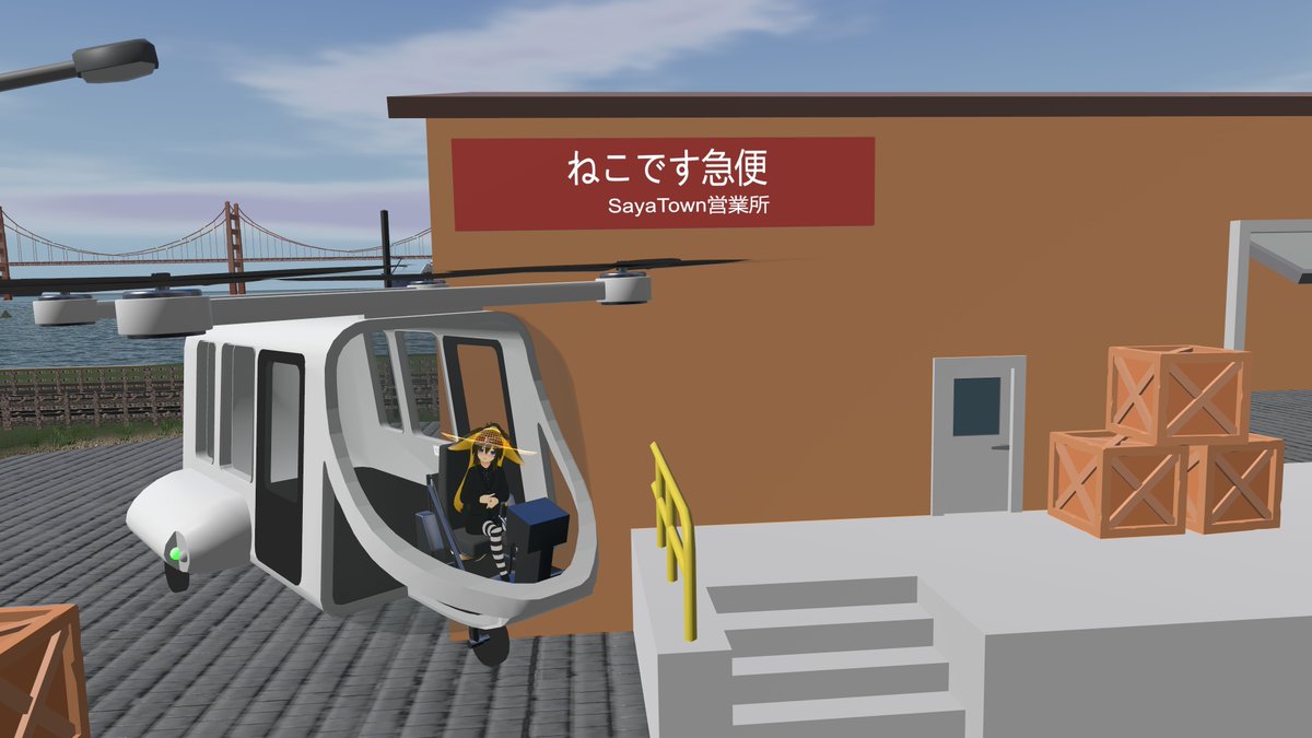 今日のSayaTown　ねこです急便にて📦
#SayaTown