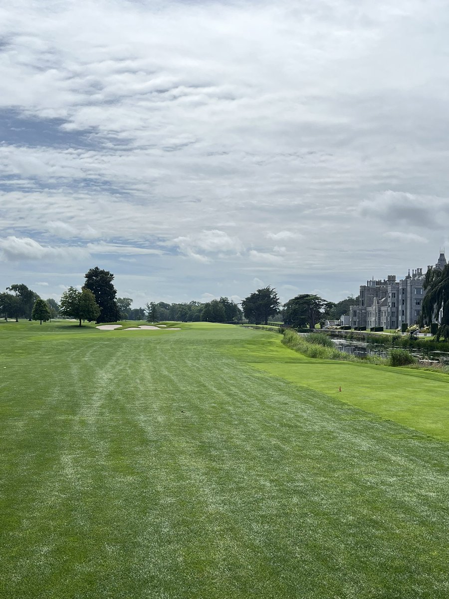 slicerdicer2's tweet image. Twas a windy day @adaremanor but what a class place, top notch service, definitely world class beds &amp;amp; shower.  Great caddies and the last day to ay as they close the course next 10 months and replace all the fairways.  (84, lots of 3 putts today)