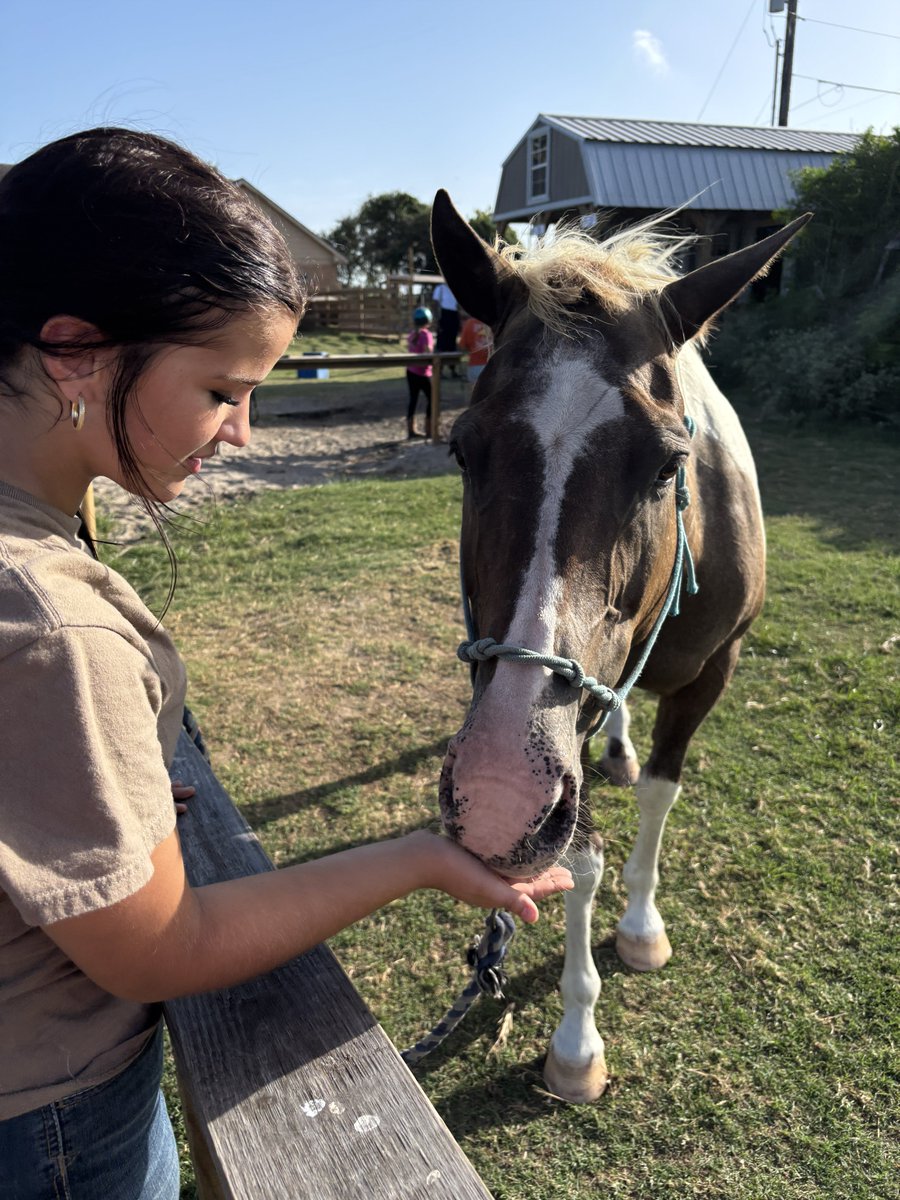 HSachanowicz's tweet photo. Fun on the farm! #Horses #texasgirl https://t.co/pNakBf1jvs