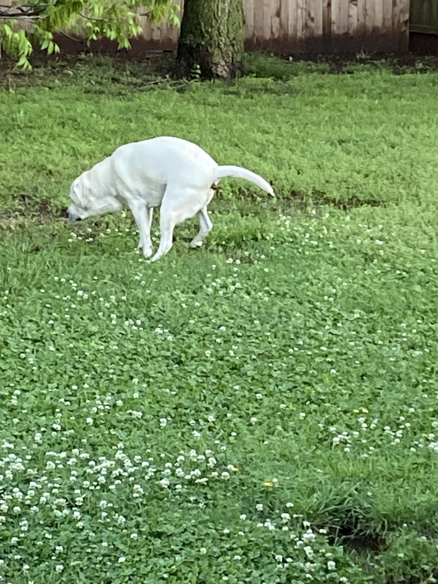 <a href="/1Nicdar/">DK🇺🇸🦅🇺🇸</a>