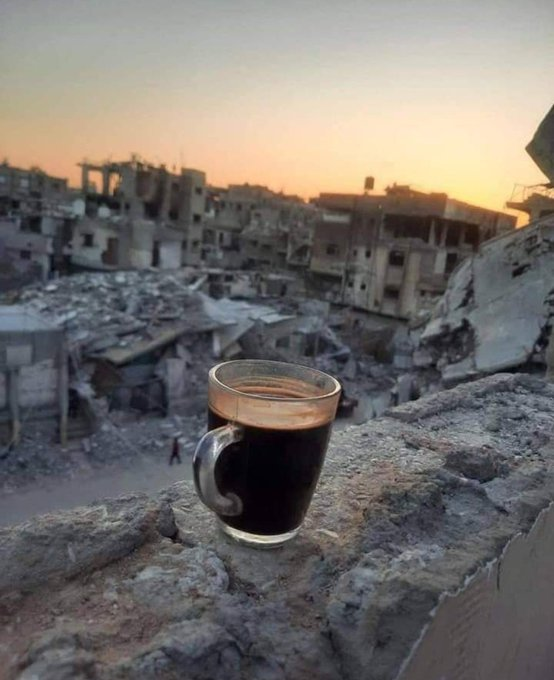 LailaPalestini1's tweet photo. We won't give up🇵🇸 https://t.co/JgYBSwI8TM