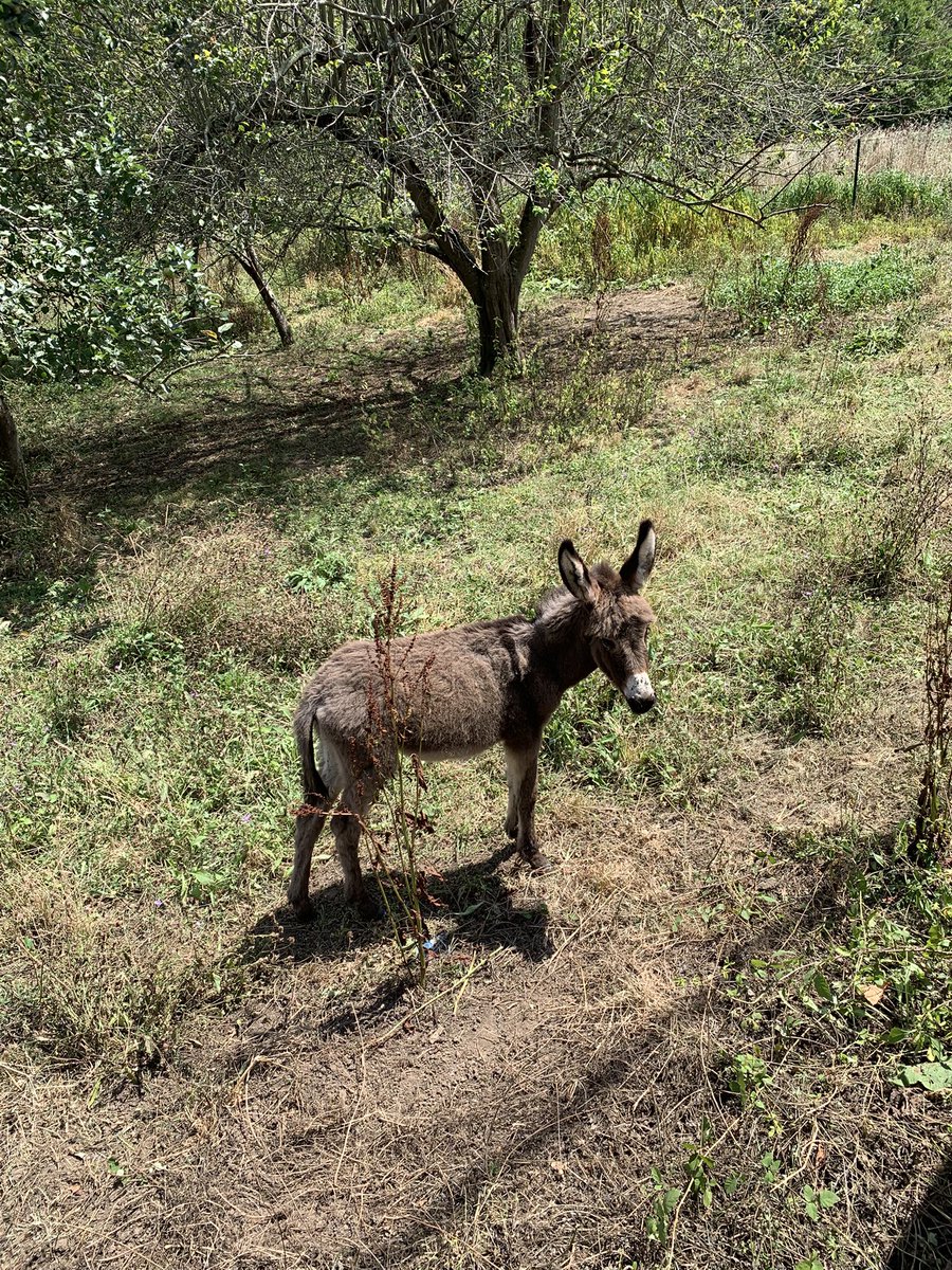 #shotoniphone #verano #Summer #Asturias