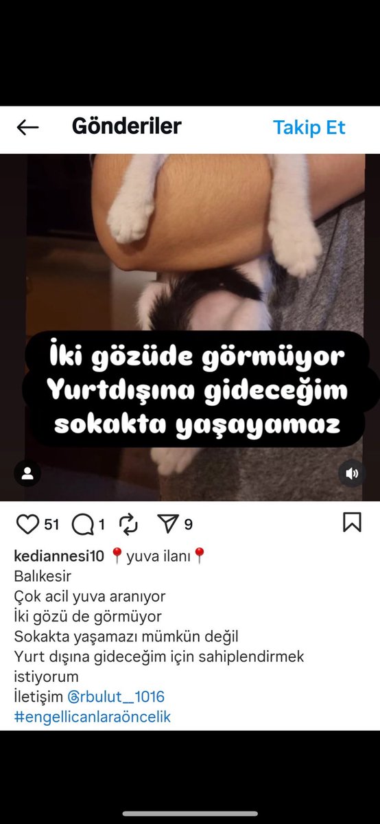 🚨İKİ GÖZÜ DE GÖRMEYEN KEDİ SOKAĞA BIRAKILACAKMIŞ🚨

⚠️BALIKESİR⚠️

İLETİŞİM BİLGİLERİ SON FOTOĞRAFTA MEVCUT. (INSTAGRAM İLANI)

LÜTFEN YAYALIM ARKADAŞLAR SOKAKTA YAPAMAZ ENGELLİ BİR CAN 🥺