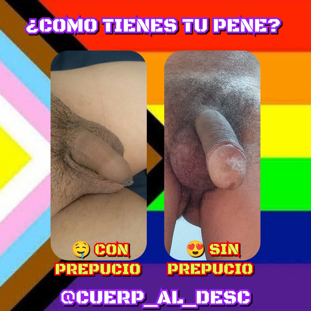 Cuerpos al descubierto tweet media