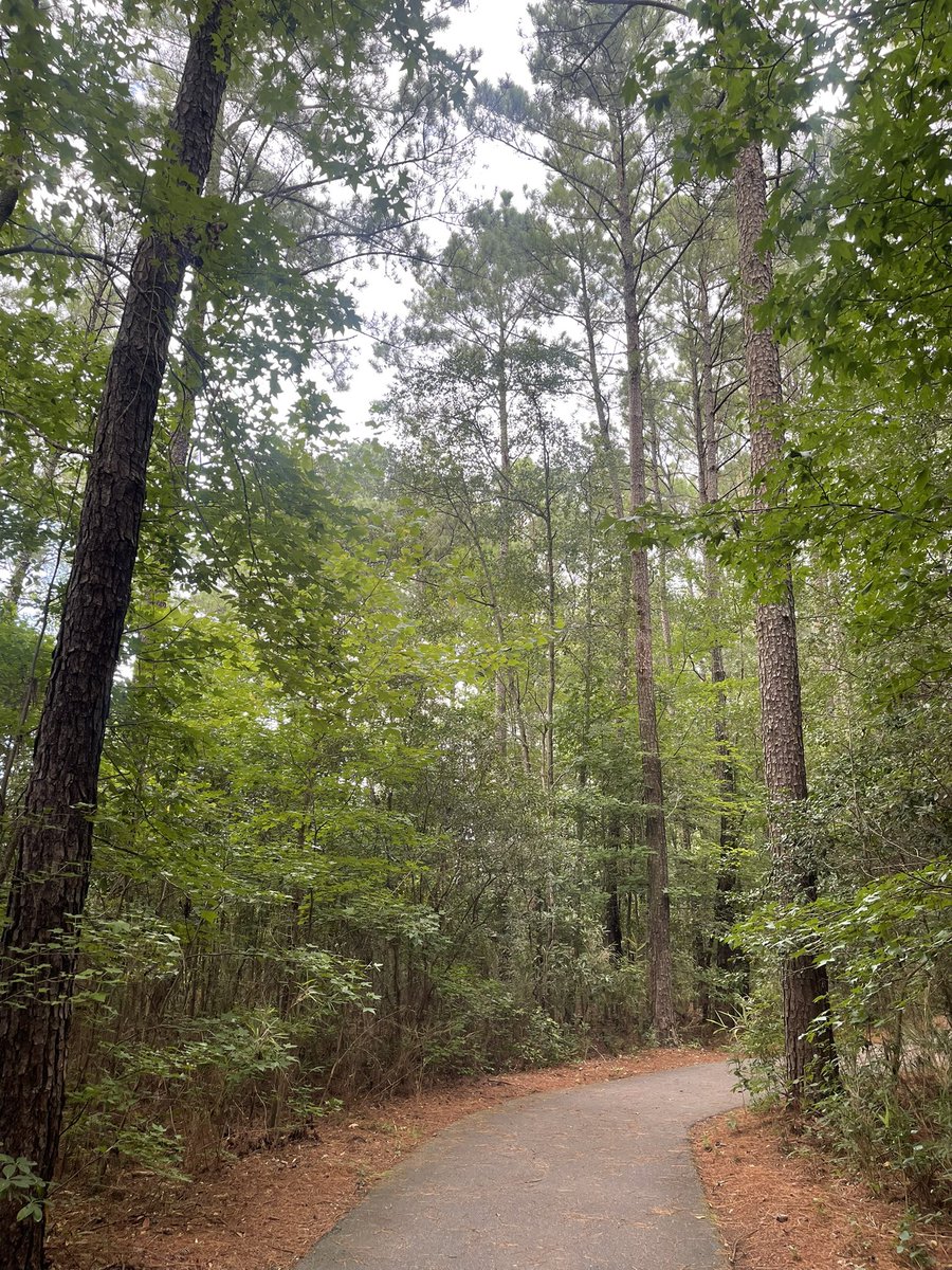 Just taking a moment to breathe it all in. Nature never rushes, yet everything gets done.