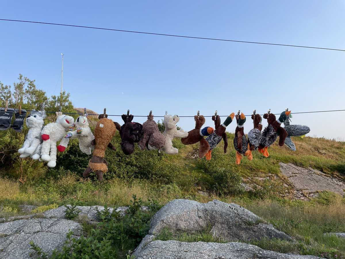 Karen Banfield Hare tweet media