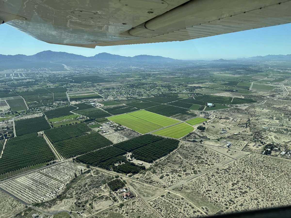 It’s green out there. #ElPaso