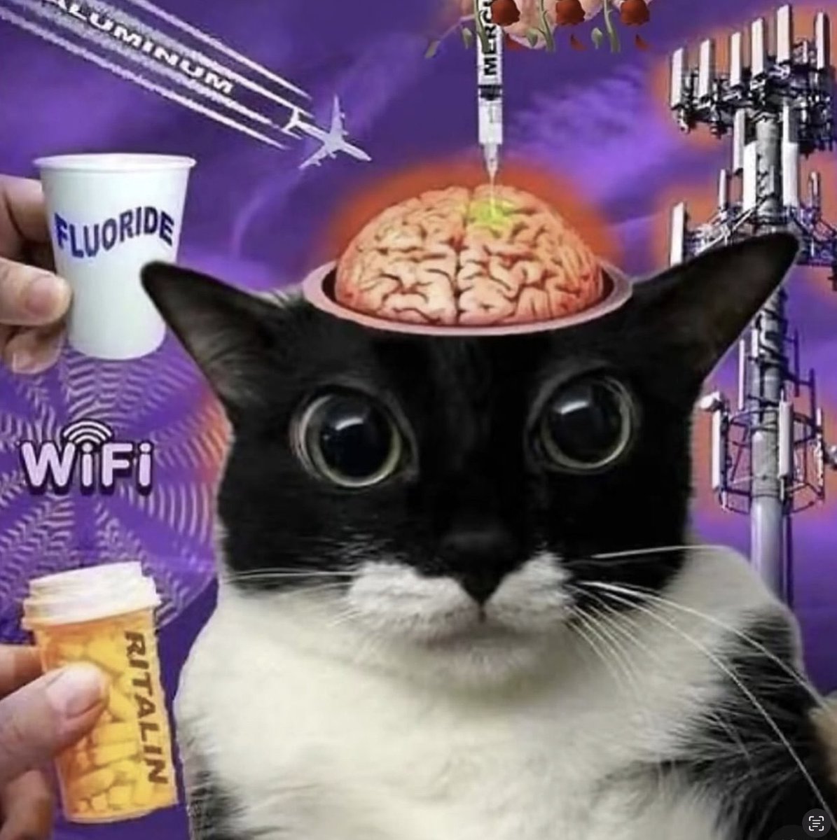 Well Melo tweet media