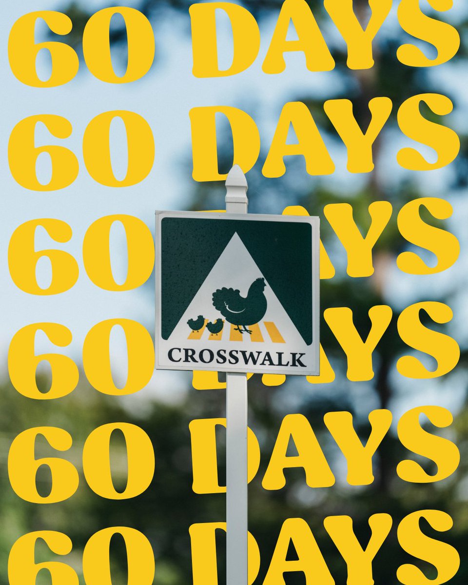 ⏳ The countdown begins!

Only 60 days until the birds return to Jackson. Let’s cross into championship season. 🐓

#SFChamp
